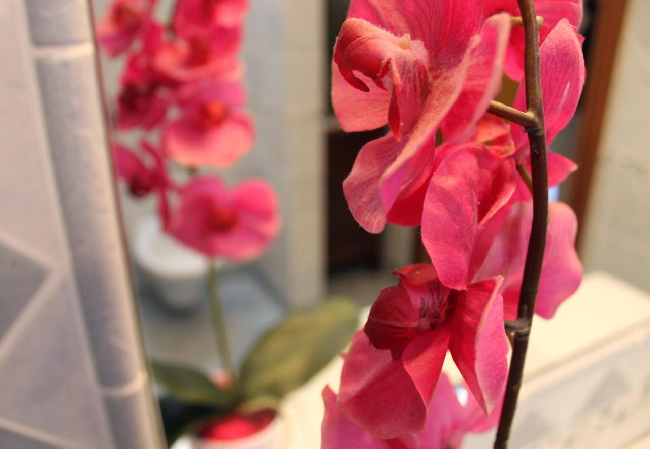 Casa Marinella Apartment อาเจโรลา ภายนอก รูปภาพ
