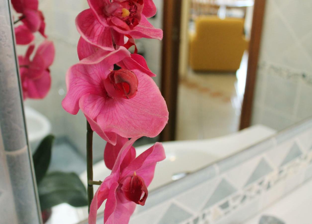 Casa Marinella Apartment อาเจโรลา ภายนอก รูปภาพ